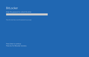 Windows BitLocker screenshot 3