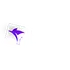 Kites icon