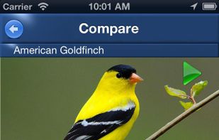 BirdSongId screenshot 2