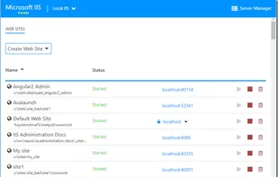 Microsoft IIS screenshot 1