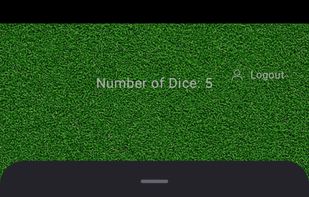 Dice Rolling Pro screenshot 2