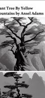 Image based page