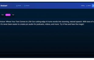 Xvoicer.io screenshot 1