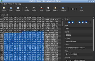 BinEd screenshot 1