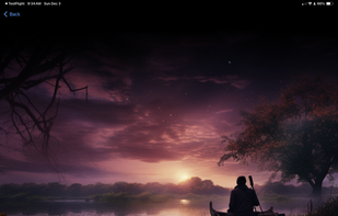 CalmAlma screenshot 3