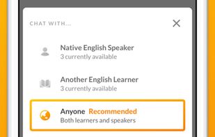 Linguistic screenshot 2