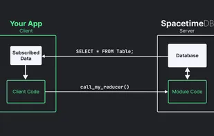 SpacetimeDB screenshot 1