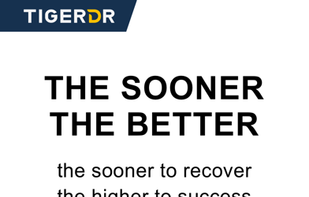 Tiger Data Recovery screenshot 2