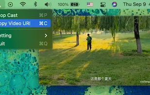 You can copy the video link after the video is casted.