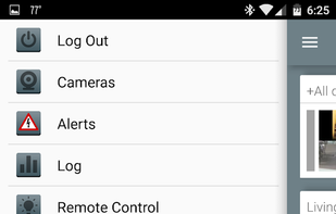 Blue Iris screenshot 2