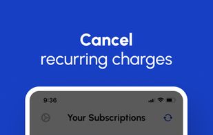 Chargeback Subscription Manager screenshot 2