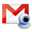 Google Voice and Video Chat icon