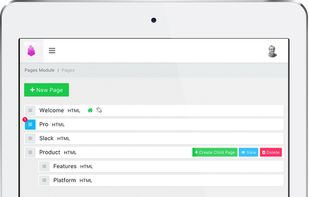 PyroCMS screenshot 2