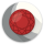 Pyrope browser icon