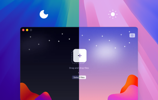 Light & Dark themes