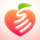 AppSlap icon