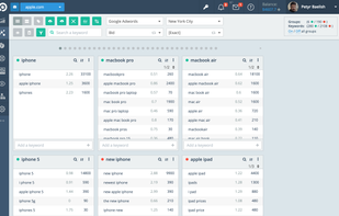Topvisor screenshot 2
