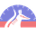 Numbat icon