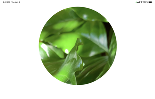 Plant Light Meter screenshot 2