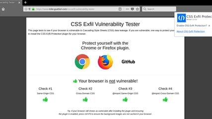 CSS Exfil Protection screenshot 1