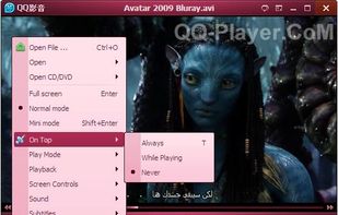 QQ Player screenshot 2