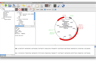 The expression vector pCAGGS-T7 opened in GENtle