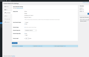 Custom Search WordPress Plugin screenshot 2