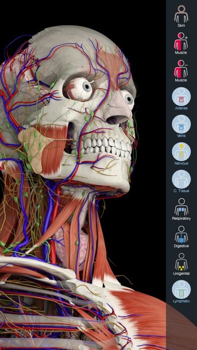 difference between essential anatomy 5 app for windows