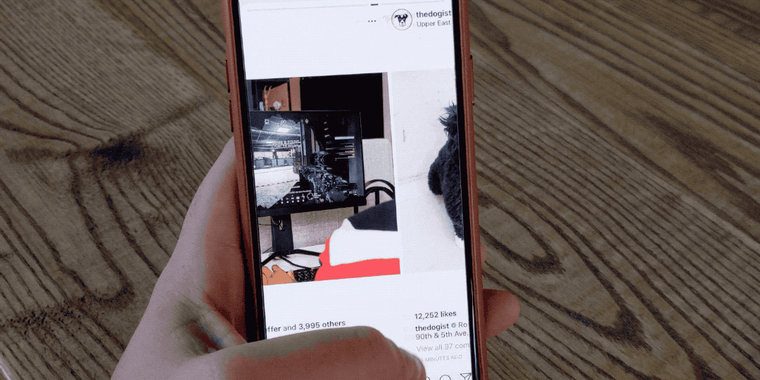 Instagram rolled out horizontal feed test to public users on accident image