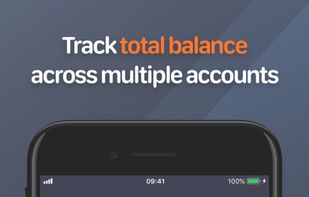 BalanceViewer: Net Worth screenshot 1