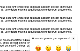 The widget on a website