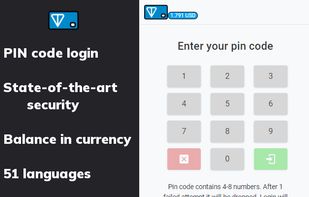 TON blockchain wallet
