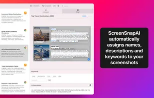 ScreenSnapAI screenshot 3