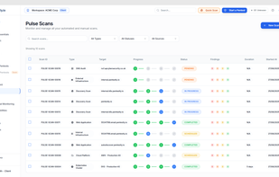 Pentestly.io screenshot 2