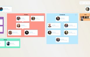 Orgchart view
