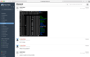 Total.js Messenger screenshot 1