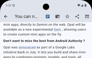 Luli Reader screenshot 1