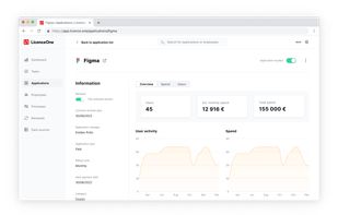 Application view