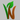 V-Nut icon