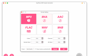 AudFree DRM Audio Converter screenshot 1