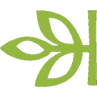 Ancestry icon