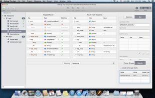 Debug The Api screenshot 1