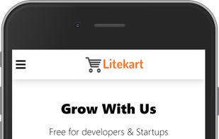 Litekart screenshot 1