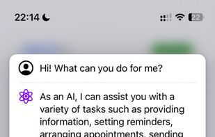 Swizz AI screenshot 1