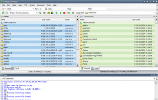 FTP Rush screenshot 1