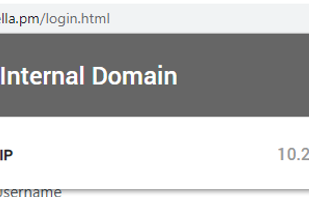 Internal IPs are detected and shown