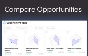 Opportunity Shape screenshot 1