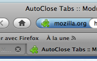 AutoClose Tabs screenshot 1