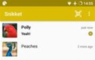 Snikket screenshot 1