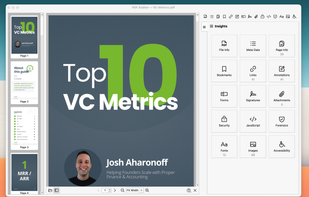 PDF Auditor screenshot 1